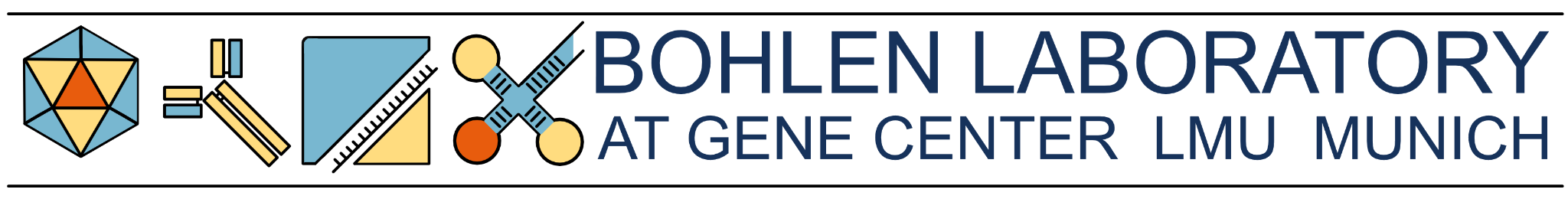 Bohlen Lab - mRNA translation in human immunity