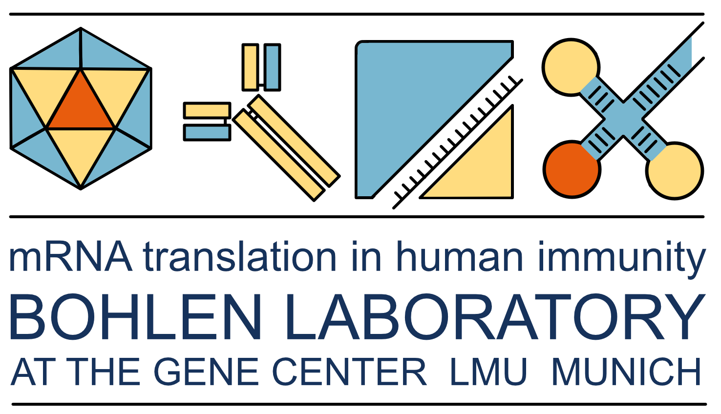Bohlen Lab - mRNA translation in human immunity
