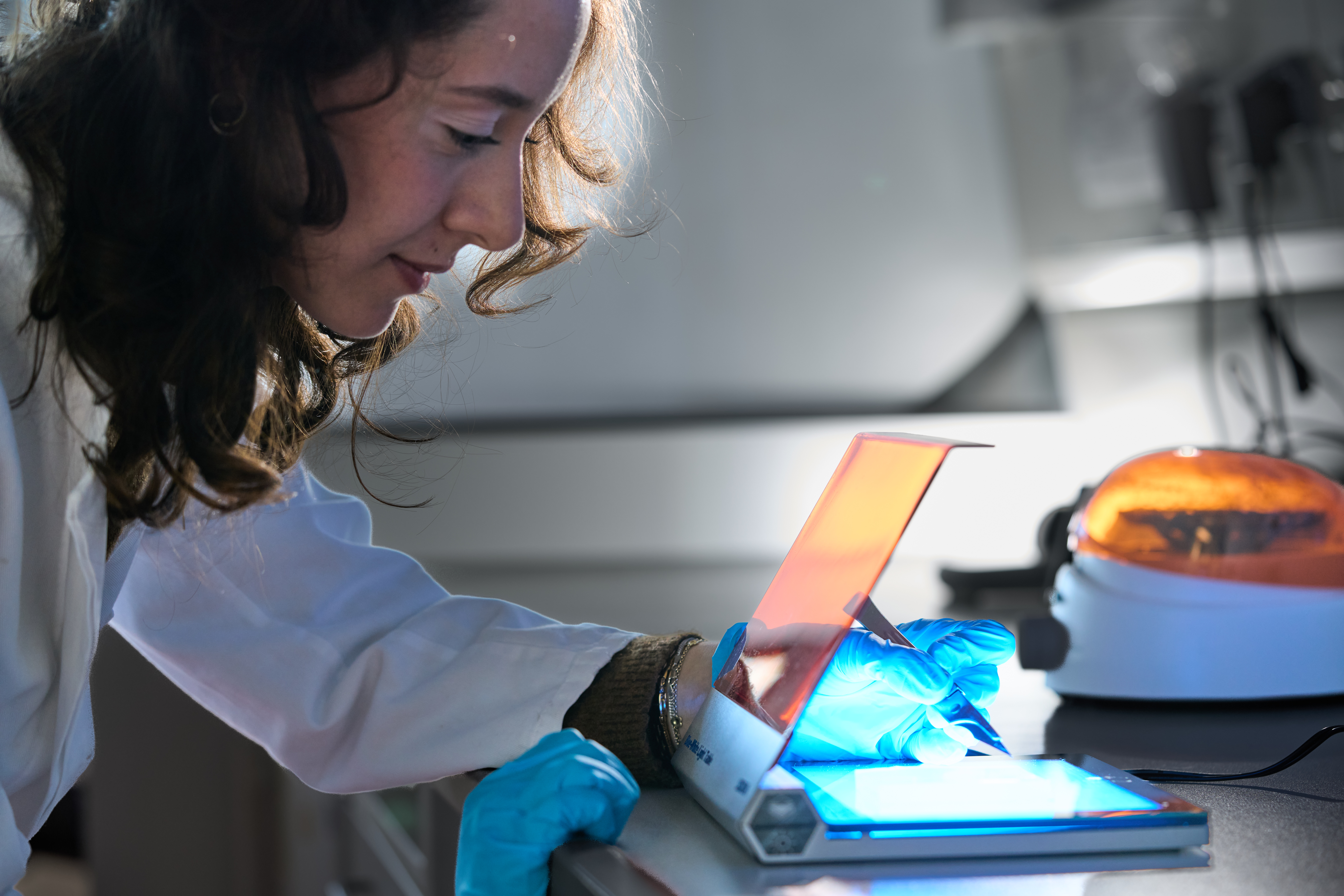 Bohlen Lab researchers at work